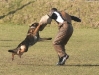 Pw examen Bayca a
